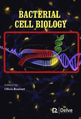 bokomslag Bacterial Cell Biology