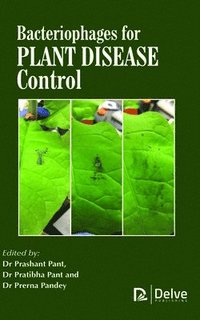 bokomslag Bacteriophages for Plant Disease Control
