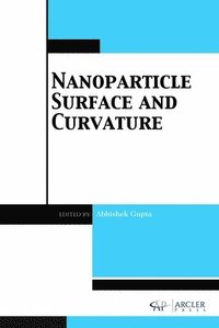 bokomslag Nanoparticle Surface and Curvature
