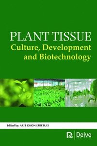 bokomslag Plant Tissue Culture, Development and Biotechnology