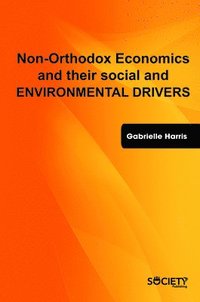 bokomslag Non-Orthodox Economic and Social Models