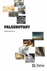 bokomslag Paleobotany