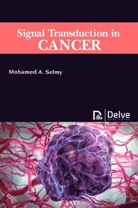 bokomslag Signal Transduction in Cancer