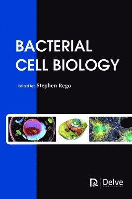 bokomslag Bacterial Cell Biology