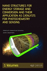 bokomslag Nano Structures for Energy Storage and Conversion and their Application as Catalysts for Photochemistry and Sensing, Volume 1