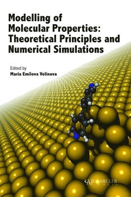 Maria Emilova Velinova - Modelling of Molecular Properties, Inbunden