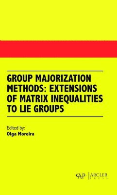 Olga Moreira - Group Majorization Methods, Inbunden