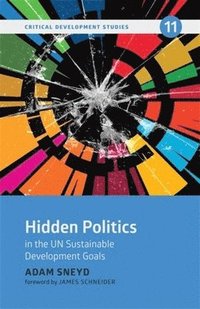 bokomslag Hidden Politics in the Un Sustainable Development Goals