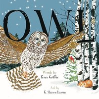 bokomslag Owl (Pb)
