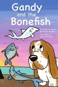 bokomslag Gandy and the Bonefish
