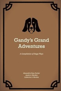 bokomslag Gandy's Grand Adventures