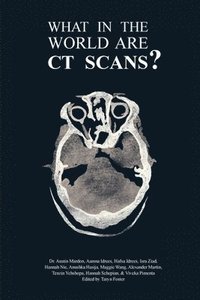 bokomslag What in the World are CT Scans?
