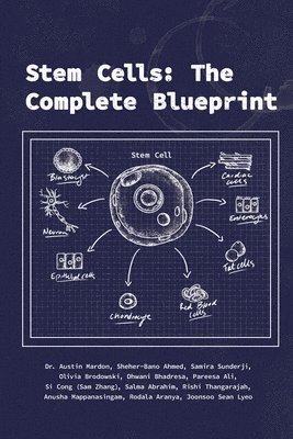Stem Cells