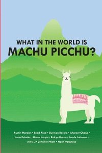 bokomslag What in the World is Mach Picchu?