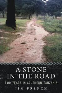 bokomslag A Stone in the Road