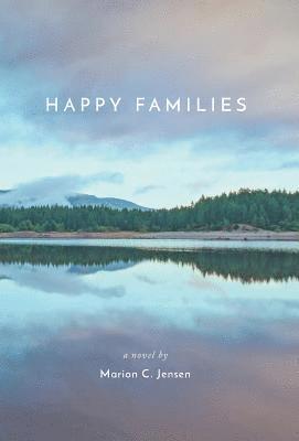 bokomslag Happy Families