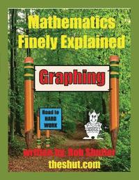 bokomslag Mathematics Finely Explained - Graphing