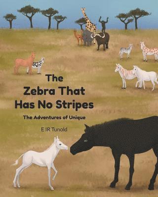 bokomslag Zebra That Has No Stripes