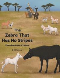 bokomslag Zebra That Has No Stripes