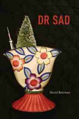 David Bateman - DR SAD, Häftad