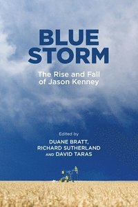 bokomslag Blue Storm