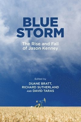 bokomslag Blue Storm