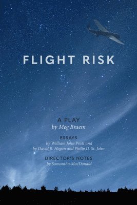bokomslag Flight Risk