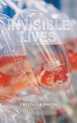 bokomslag Invisible Lives