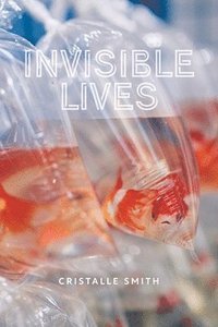 bokomslag Invisible Lives