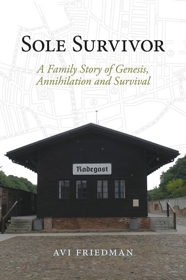 Avi Friedman - Sole Survivor, Inbunden