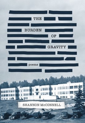 The Burden of Gravity 1