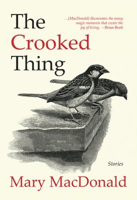 bokomslag The Crooked Thing