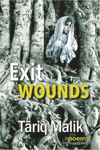 bokomslag Exit Wounds
