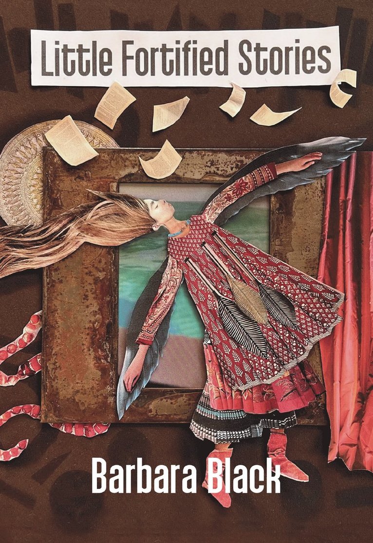Barbara Black - Little Fortified Stories, Häftad