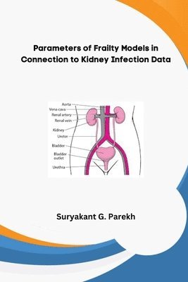 bokomslag Parameters of Frailty Models in Connection to Kidney Infection Data