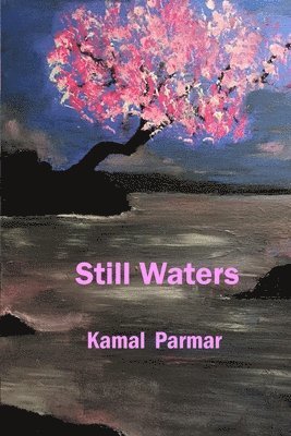 Kamal Parmar - Still Waters, Häftad