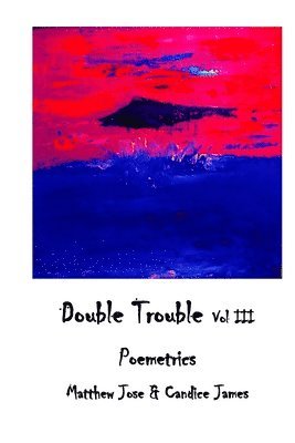 bokomslag Double Trouble Vol III - Poemetrics