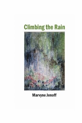 bokomslag Climbing the Rain