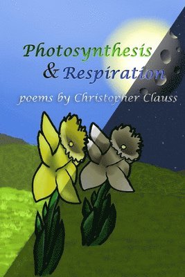 Photosynthesis & Respiration 1