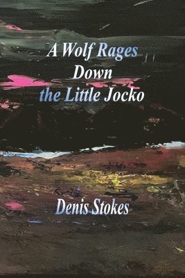 A Wolf Rages Down the Little Jocko 1