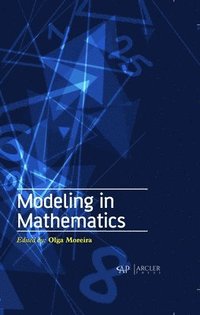 bokomslag Modeling in Mathematics