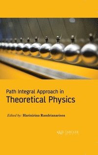 bokomslag Path Integral Approach in Theoretical Physics