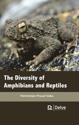 bokomslag The Diversity of Amphibians and Reptiles