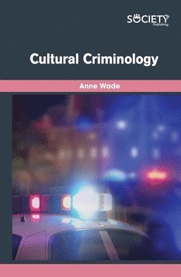 bokomslag Cultural Criminology