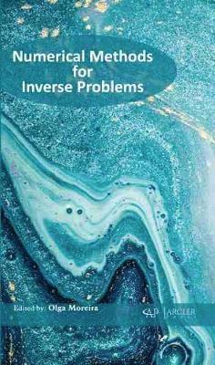 Olga Moreira - Numerical Methods for Inverse Problems, Inbunden
