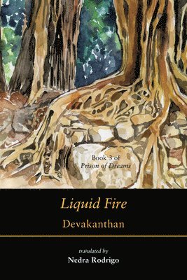 B. Devakanthan - Liquid Fire, Häftad