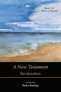 bokomslag A New Testament