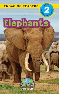 Elephants 1