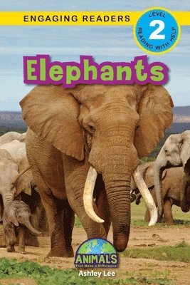 Elephants 1