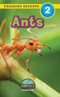 bokomslag Ants